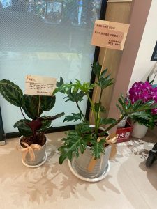 490918573 122124352142755350 8522304288345621953 n