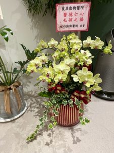 490925501 122124352736755350 553580048285805497 n