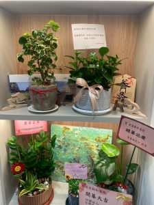 491288619 122124352670755350 2513679603906281844 n