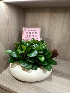 491295917 122124352490755350 5641151945285747442 n