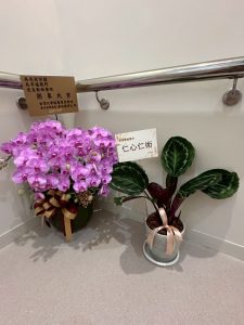 491363771 122124352250755350 733544854828561042 n