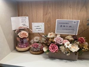 491406249 122124352544755350 1640603122350536940 n