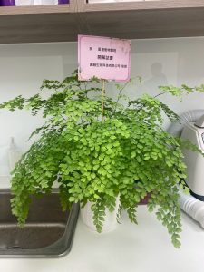 491406383 122124352568755350 2241766140705180726 n