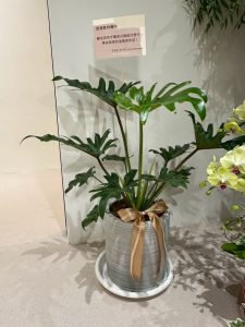 491605085 122124352454755350 5773761278221822123 n