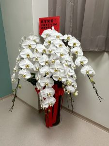 491642406 122124352598755350 896662732646955679 n 1