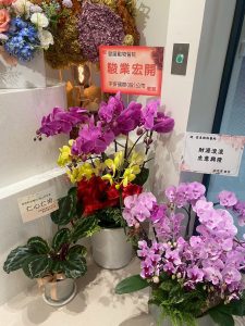 491748574 122124352286755350 3838908543627498143 n