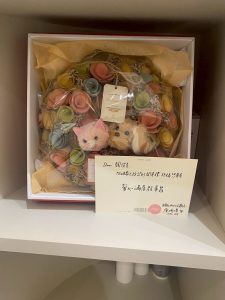 491842249 122124352556755350 1262357485310077483 n