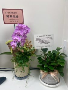 491959800 122124352658755350 7216831075769117631 n